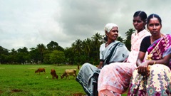 JLGs in tamil nadu